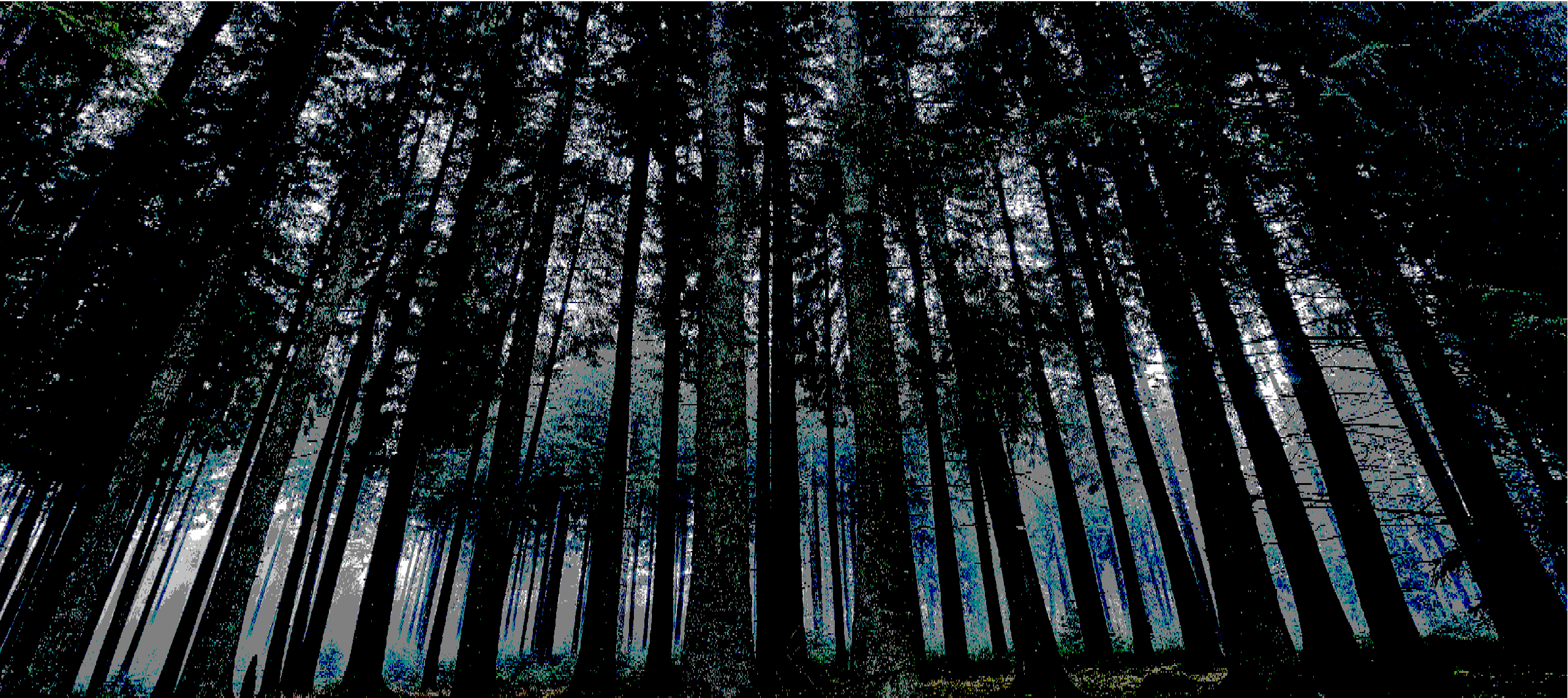 Trees